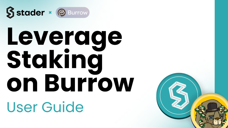 Leverage Staking with Burrow — User Guide