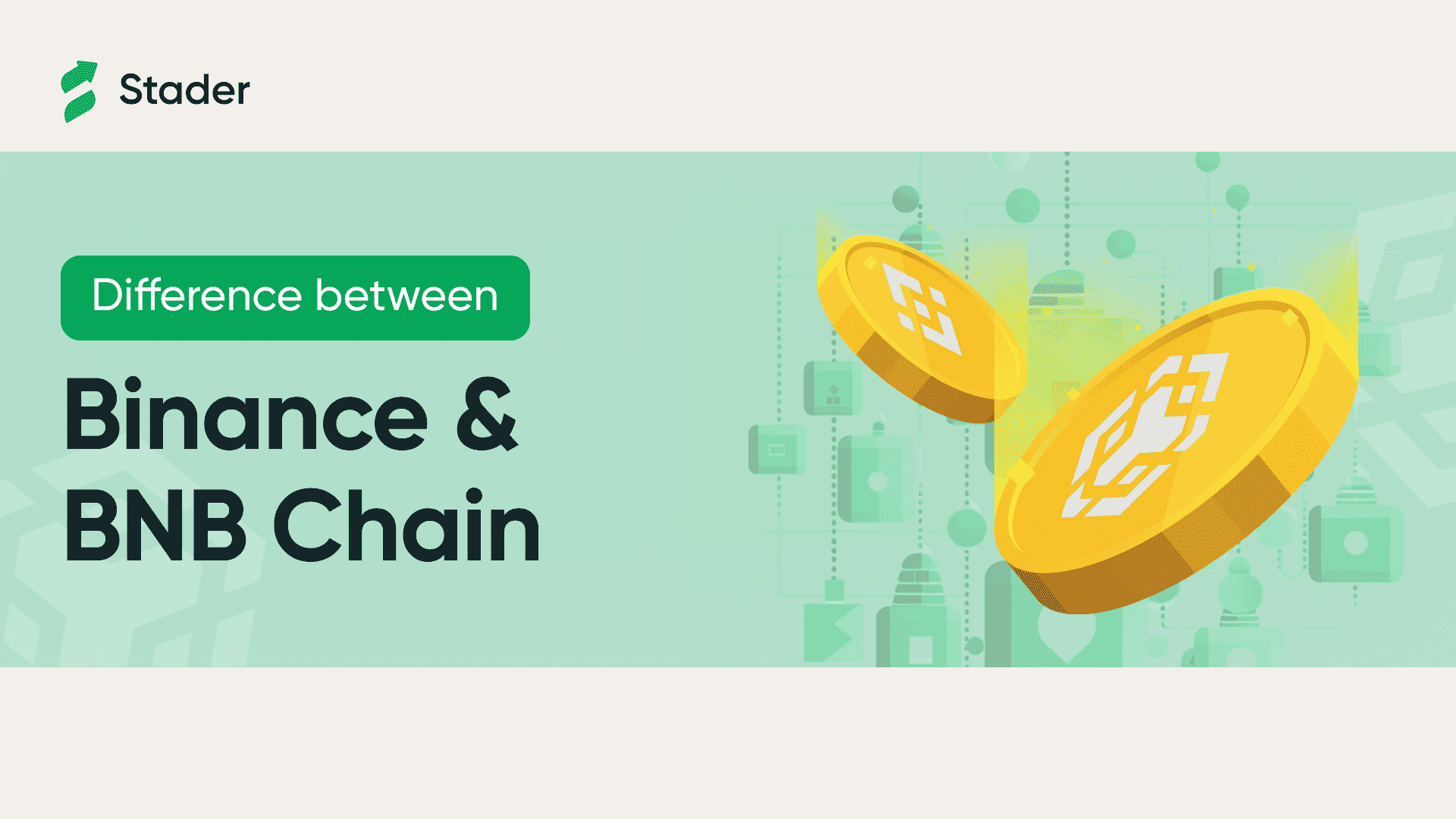 Binance Vs BNB Chain Banner Image