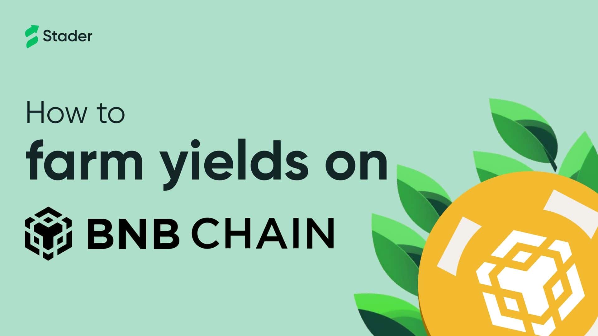How to Farm yields on the BNB Chain