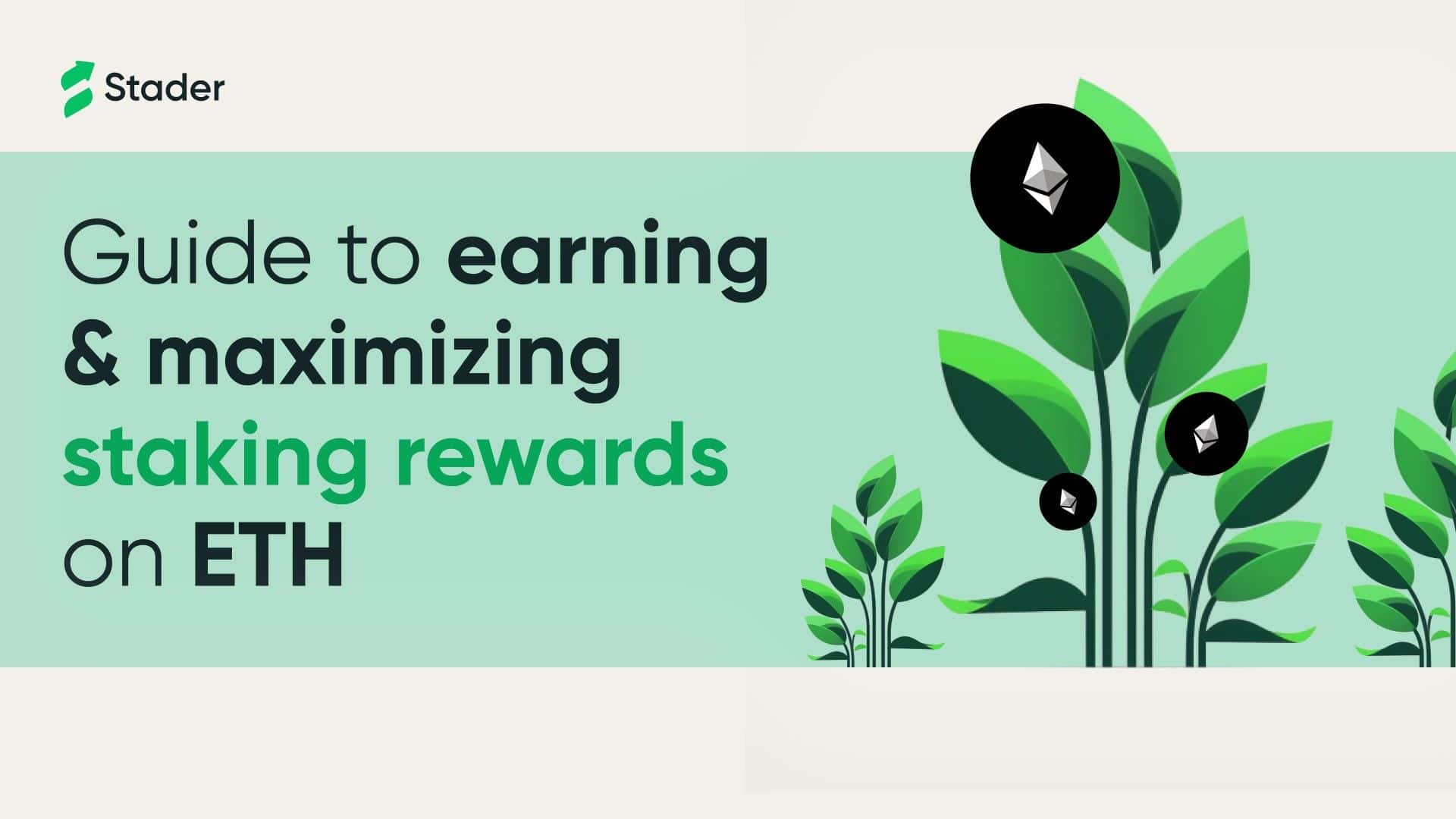 Ethereum Staking Rewards Banner Image