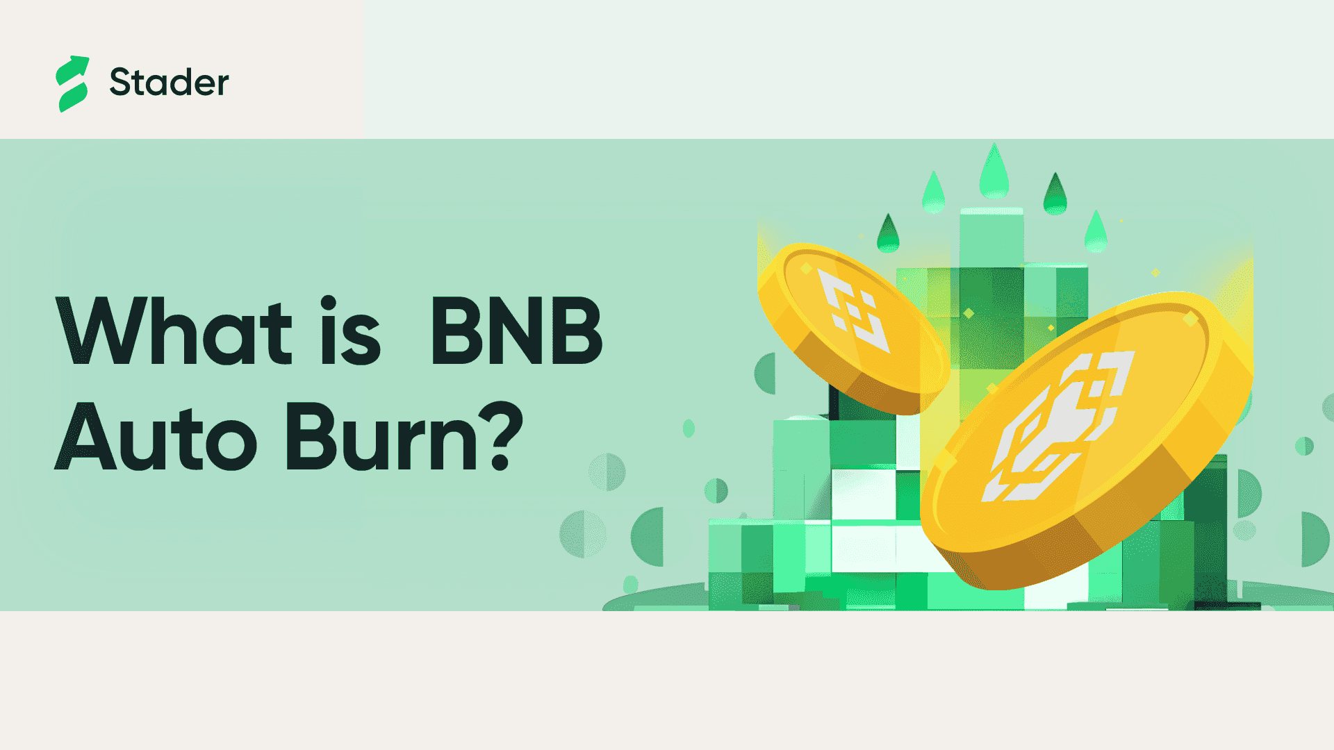BNB Auto Burn Banner Image