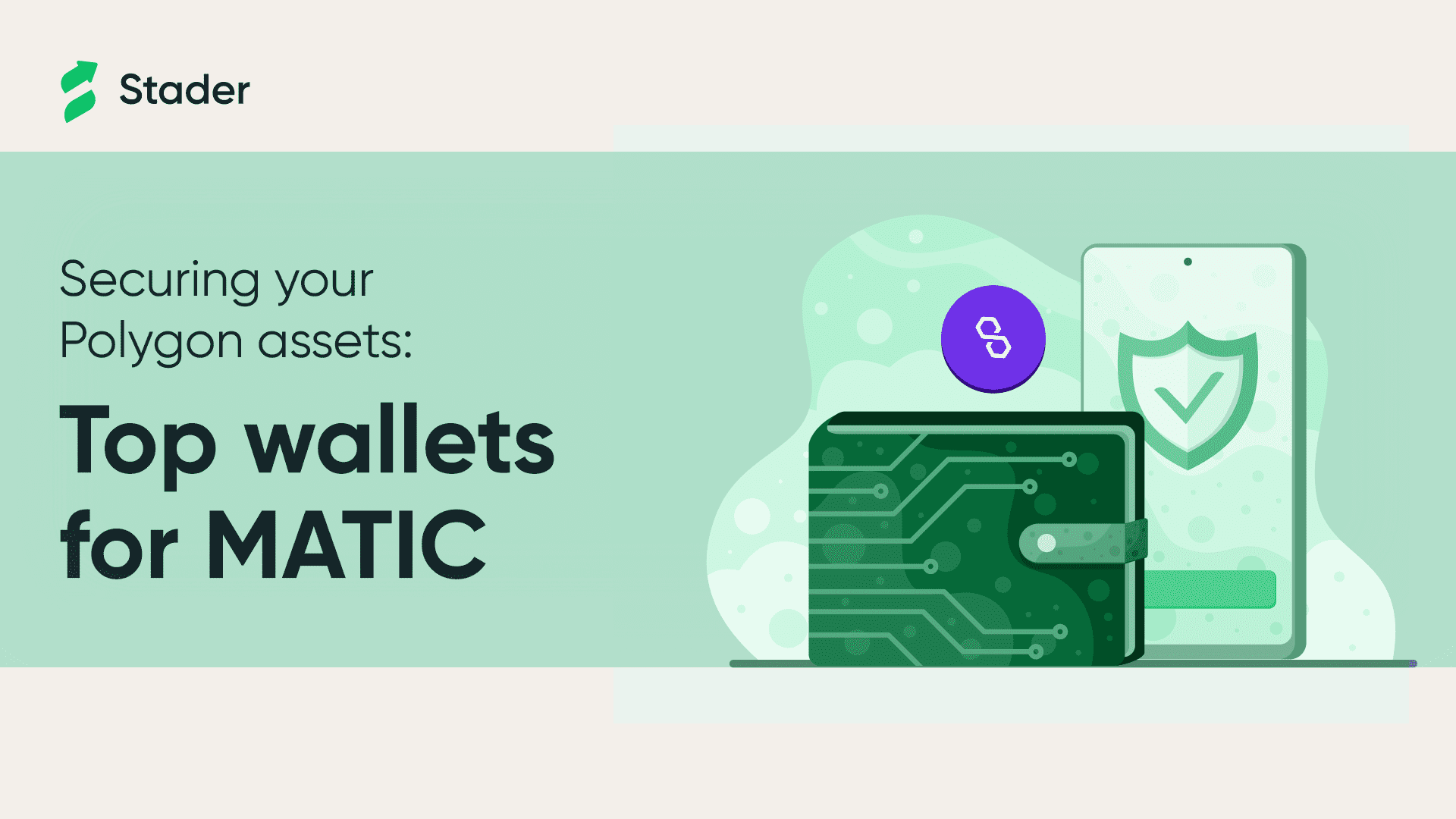 Matic Staking Wallet Banner Image