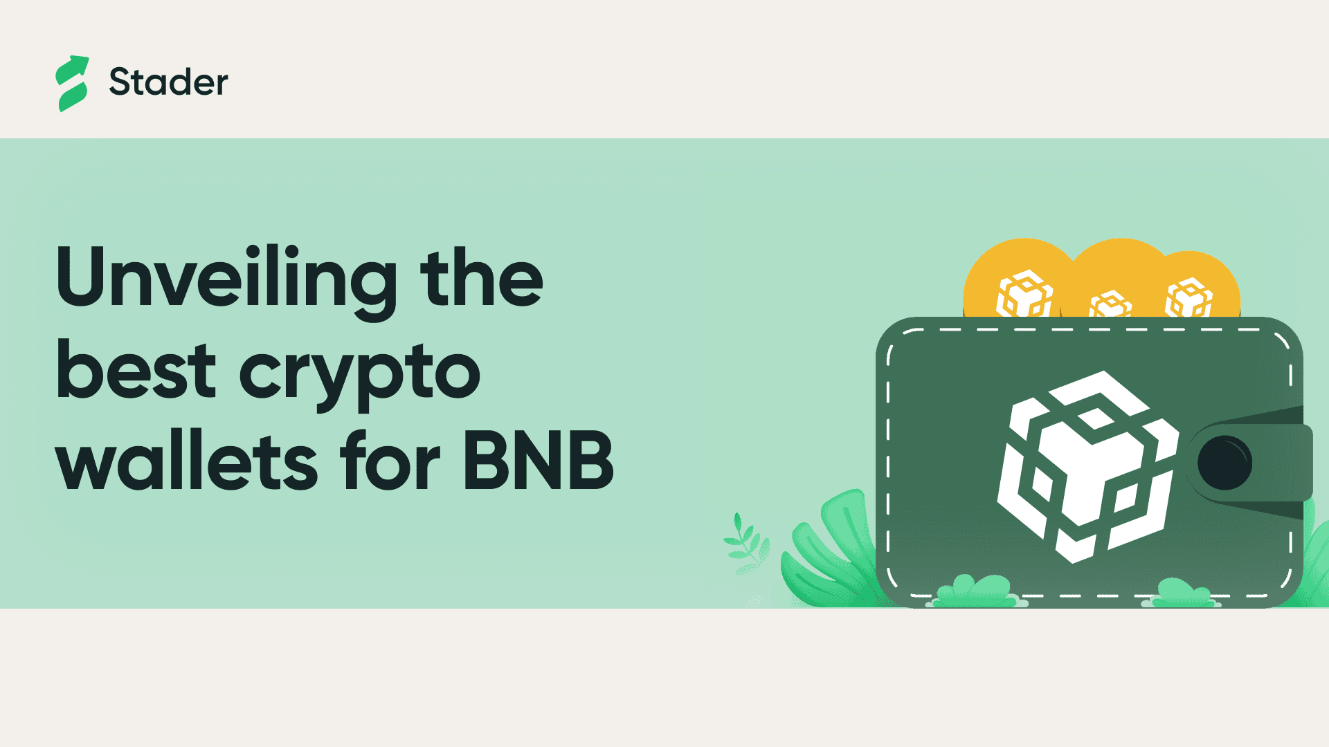 Best Crypto Wallets For BNB Banner Image