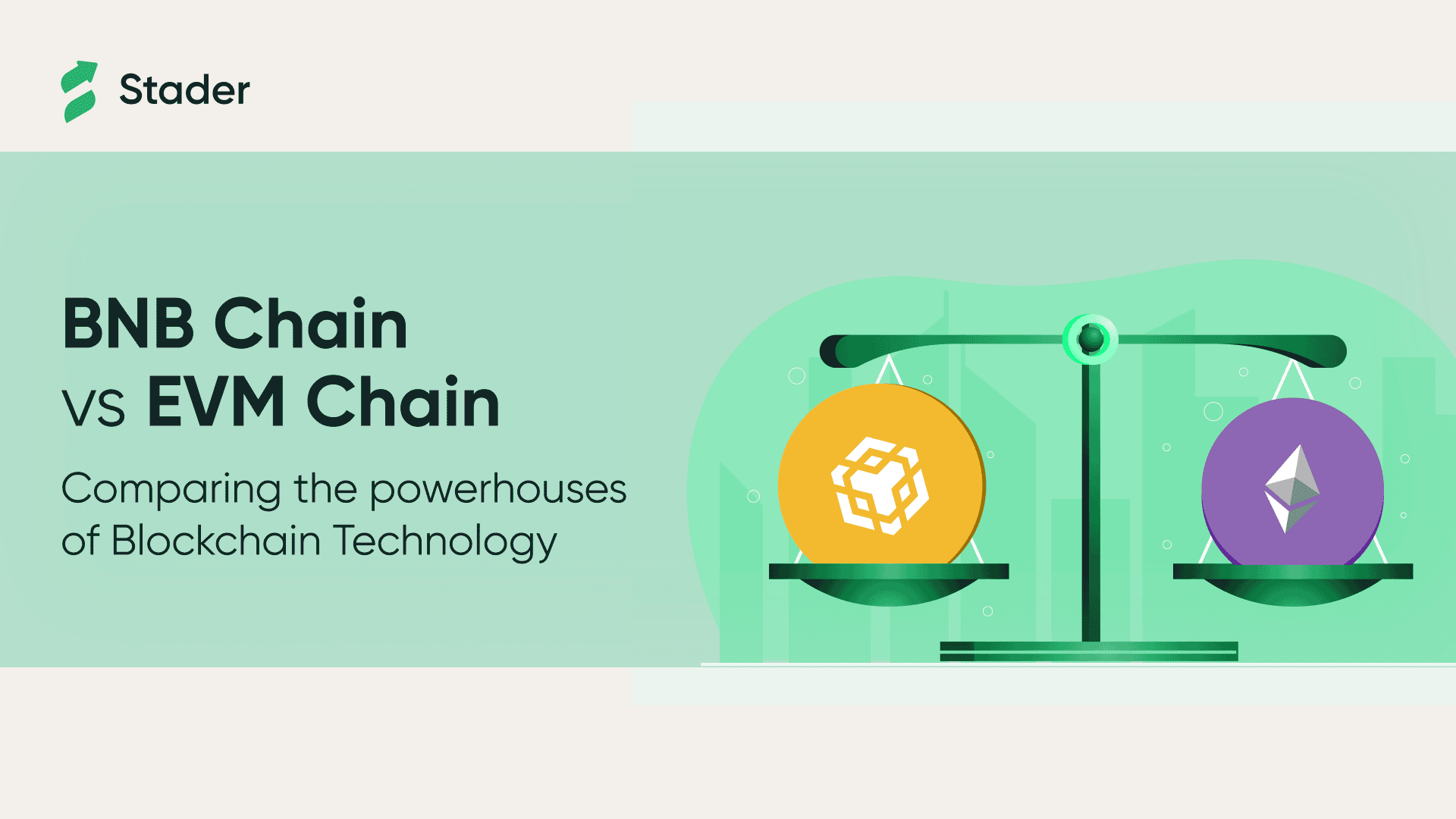 BNB vs EVM Chains: A Comparative Analysis of Two Blockchains