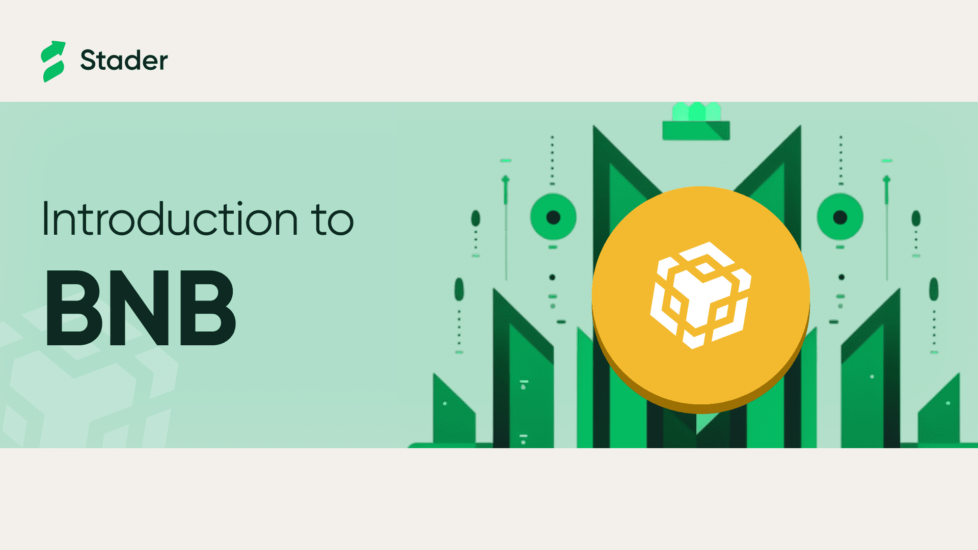 What is BNB?