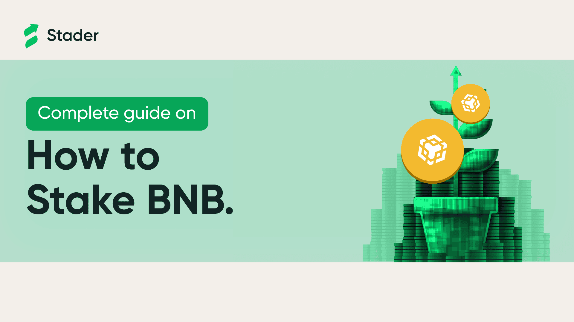 How to stake BNB?