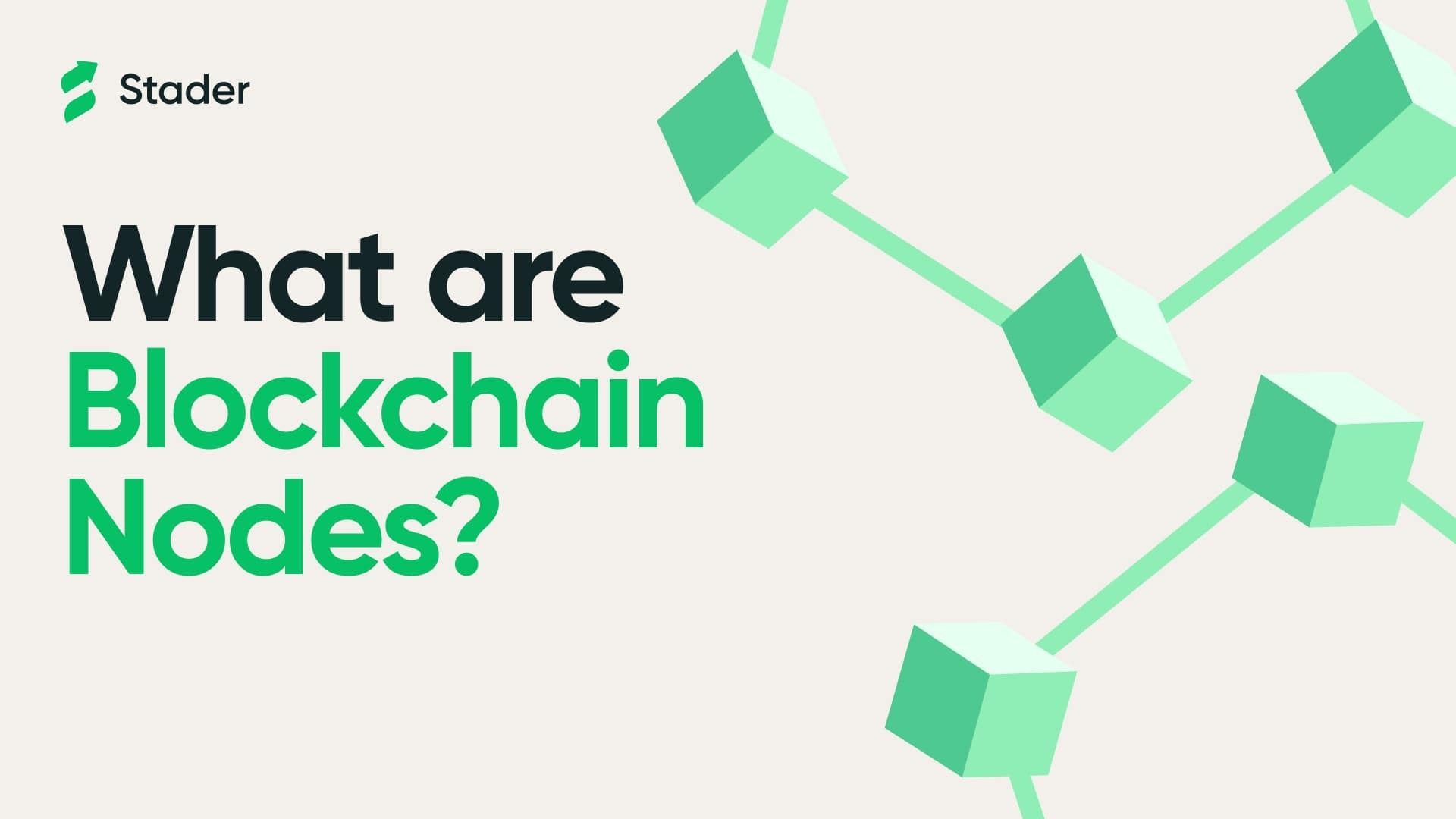 What Are Blockchain Nodes?